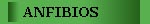 Anfibios